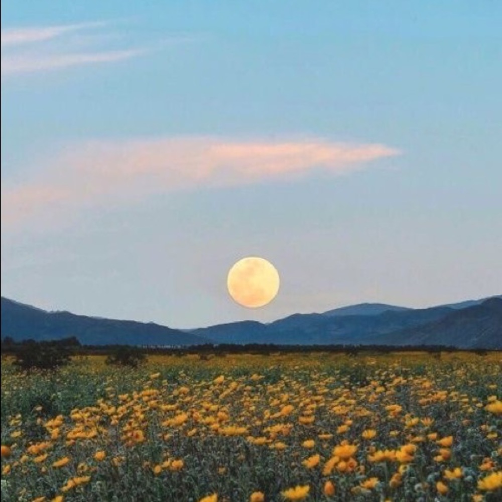 Meet your Posher, Zoe